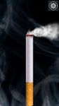 Imagen 2 de Fumador de Cigarrillo Virtual