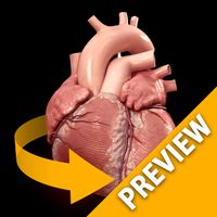 Heart 3D Anatomy Lite apk icon
