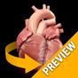 APK-иконка Heart 3D Anatomy Lite