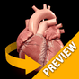 Biểu tượng apk Heart 3D Anatomy Lite