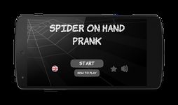 Spinne auf der Hand Streich Bild 