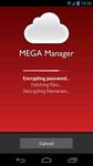 Imagen 1 de MEGA Manager BETA