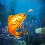 APK-иконка Fish Pro: Fishing Extreme 3D