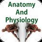 Ícone do apk Anatomia e fisiologia humana