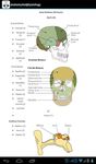 Immagine 1 di Anatomia e Fisiologia Umana