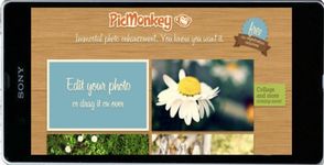 PicMonkey Photo Editing εικόνα 4