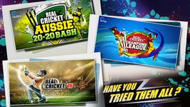 Real Cricket™ 16: English Bash 图像 5