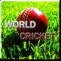 Ícone do World Cricket Game