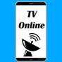 TV ao vivo APK