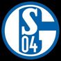 3D Schalke 04 Live Wallpaper APK Icon