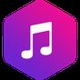 ARS MP3 Music Player apk icon