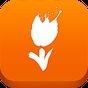 Visit Holland APK Icon