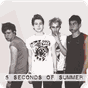 5 Seconds Of Summer Letras apk icono