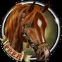 APK-иконка Арабская Лошадь Free Обои