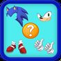 ไอคอน APK ของ Pics Quiz for Sonic