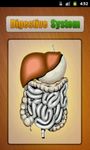 Tangkapan layar apk Human Digestive System 5