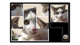 Puzzle Kitty Pets imgesi 1