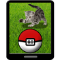 APK-иконка Pocket Kitten GO