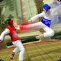 Taekwondo Berjuang 2017: Kung fu Karate revolusi APK