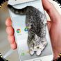 Cat Walks in Phone Cute Joke apk icon