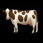 Cow 2.0 APK