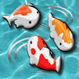 APK-иконка Кормить рыб