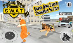Картинка 11 Сват полиции Собака Чейз  3D