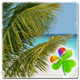 Beach Theme – GO Launcher EX APK