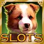 APK-иконка Casino Slots Mania Machines