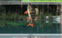 Captura de tela do apk Lago de pesca online 1