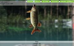 Captura de tela do apk Lago de pesca online 