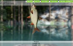Captura de tela do apk Lago de pesca online 6