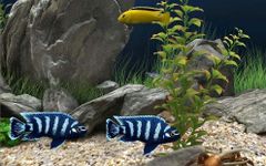 Captura de tela do apk Marine Aquarium Live Wallpaper 9