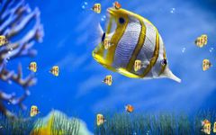 Captura de tela do apk Marine Aquarium Live Wallpaper 1