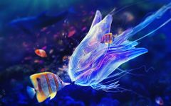 Captura de tela do apk Marine Aquarium Live Wallpaper 2