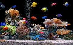 Captura de tela do apk Marine Aquarium Live Wallpaper 3