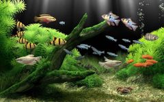 Captura de tela do apk Marine Aquarium Live Wallpaper 4