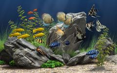 Captura de tela do apk Marine Aquarium Live Wallpaper 6