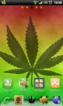 Idź EX Launcher Theme Rasta obrazek 2