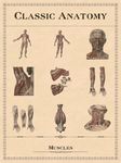クラシック解剖学 の画像10