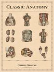 クラシック解剖学 の画像12