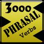 English Phrasal Verbs apk icono