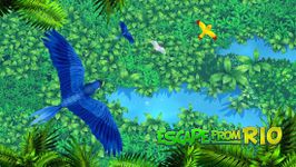 Immagine 5 di Escape from Rio - Blue Birds