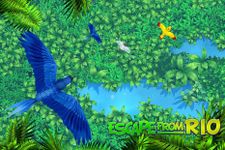 Immagine 8 di Escape from Rio - Blue Birds