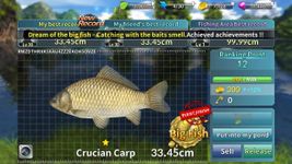 Gambar Big Fish King 20