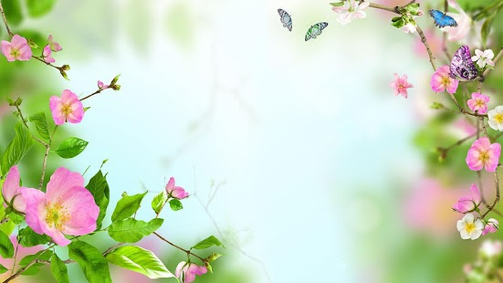 Bunga Bunga Kertas Dinding Android Free Download Bunga