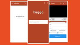 New Peggo Pro Guide εικόνα 