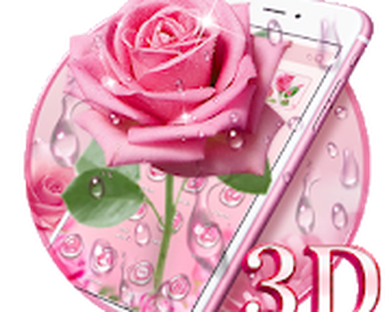 Elegant 3d Pink Rose Theme Android