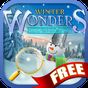 Ícone do apk Hidden Object - Winter Wonders