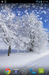 Imagem  do Winter Snow Live Wallpaper